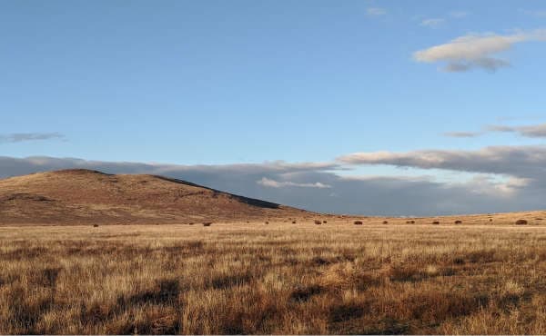 Sustainable Grazing Management